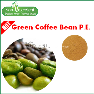 Ácidos clorogênicos Extrato de feijão de café verde